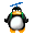 Candidature TERMINATOR2 Pingouin